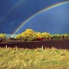 forage establishment field