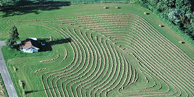 farm at harvest
