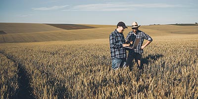 men in field
