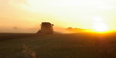combine in field